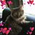 Jennifer Connor's profile image