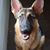 Dennis A Schofield's profile image