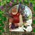 Carole Spahr's profile image