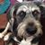 Ellen Irwin Lesnick's profile image
