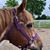 Michelle Mathes Schneider's profile image