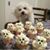 Judy Byrd's profile image