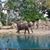 Karen Dykes's profile image
