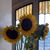 Janice Carabello Rodriguez's profile image