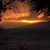 Larry Byman's profile image