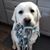 Carolyn Lucci's profile image