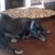 Dawn McCormick's profile image