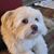 Judy Bright's profile image