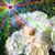 Graciela Pronesti's profile image