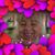 Sue Barbosa Langford's profile image
