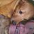 Sunni Shelton-Hahn's profile image