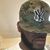 Dexter Amos's profile image