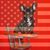 Becky Rohrbaugh's profile image