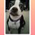 Carol Mendoza Serelson's profile image