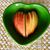 Kay Conterato's profile image