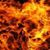 Diane Echlin's profile image