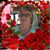 Darlene Gray's profile image
