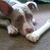 Teresa Boswell Sady's profile image