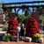 Sandy Kilbey's profile image