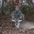 Greg McClain's profile image