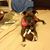 Lisa McGee Odom's profile image