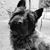 Michele Betty's profile image