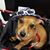 Sharon White's profile image