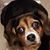 David Beason's profile image