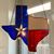 Bonnie Patrick Morrison's profile image