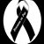 Idalia Guajardo's profile image