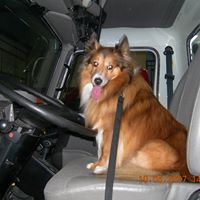 Laura Estes Washburn's profile image