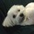 Katherine Butler-Waybright's profile image