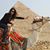 Samara Elshenawy's profile image