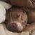Melanie Garton Allen's profile image