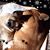Liz Dellavedova-Garcia's profile image