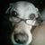 Pamela Evans-tamariz's profile image
