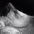 Stephanie Flowers's profile image