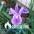 Delores Auttonberry Rabb's profile image