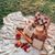 Nassima Lounis's profile image