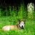 George-Ann Wood's profile image
