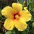 Donna Holt's profile image