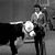 Heather Buckmaster Schulte's profile image