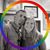 Liz JM's profile image