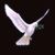 Jerome-Pamula Harris's profile image