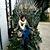 Laura Rosa Rouser's profile image