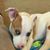 Denise Marie's profile image
