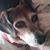 Aileen Sabo's profile image