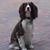Heather Shurbet Benjamin's profile image