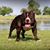 Chris Smith's profile image
