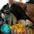 Dave Collins's profile image